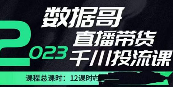 数据哥2023直播电商巨量千川付费投流实操课,快速掌握直播带货运营投放策略