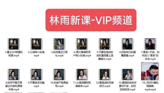 林雨新课VIP频道,玩赚私域/朋友圈/社群 林雨新课VIP频道,玩赚私域/朋友圈/社群