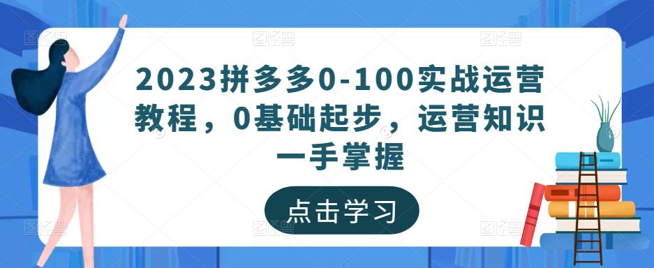 2023拼多多0-100实战运营教程,0基础起步,运营知识一手掌握