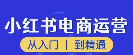 顽石小红书电商高阶运营课程,从入门到精通,玩法流程持续更新